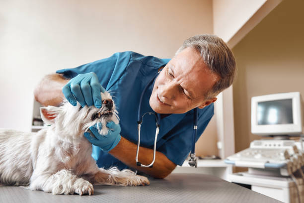 Best Emergency Root Canal Treatment in Muskegon, MI